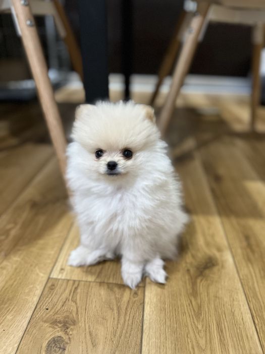 Залишився найкращий хлопчик