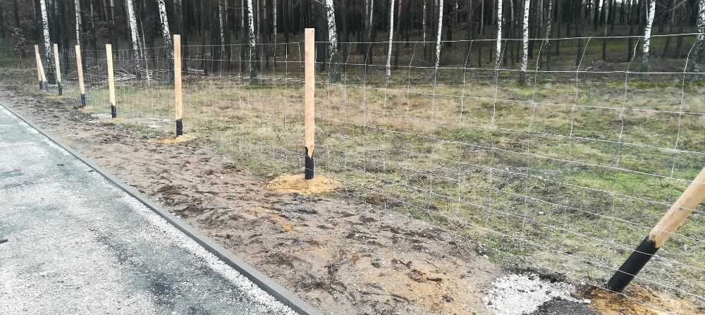 Ogrodzenie Leśne Tymczasowe Budowlane Słupki Toczone Siatka leśna GD