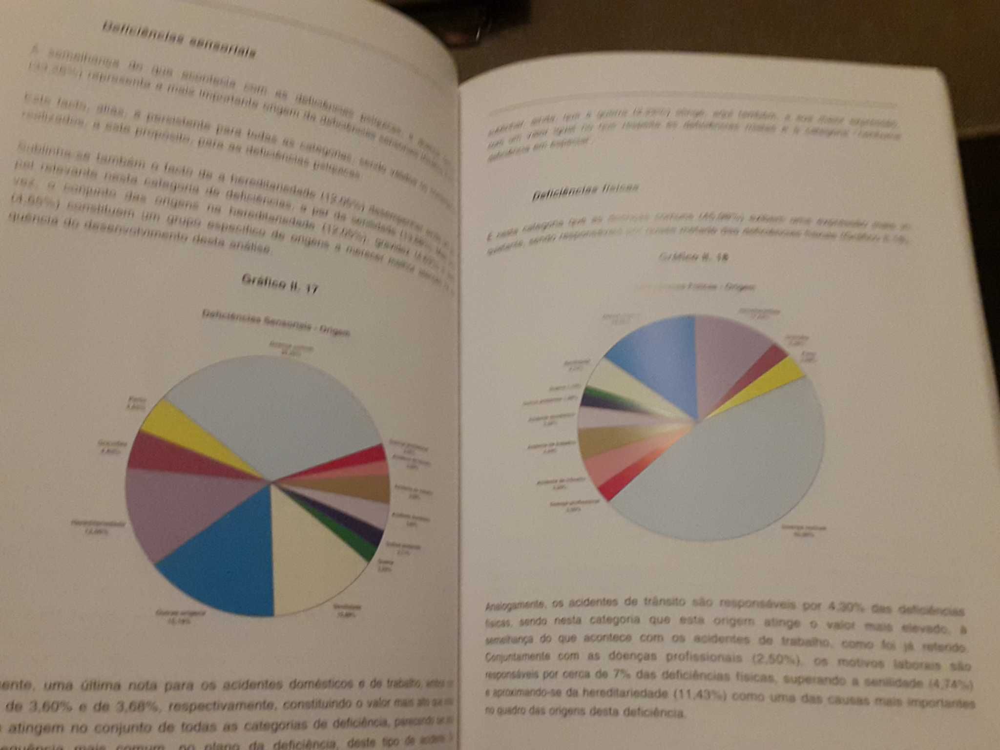 Inquérito Nacional às Incapacidades, Deficiências e Desvantagens