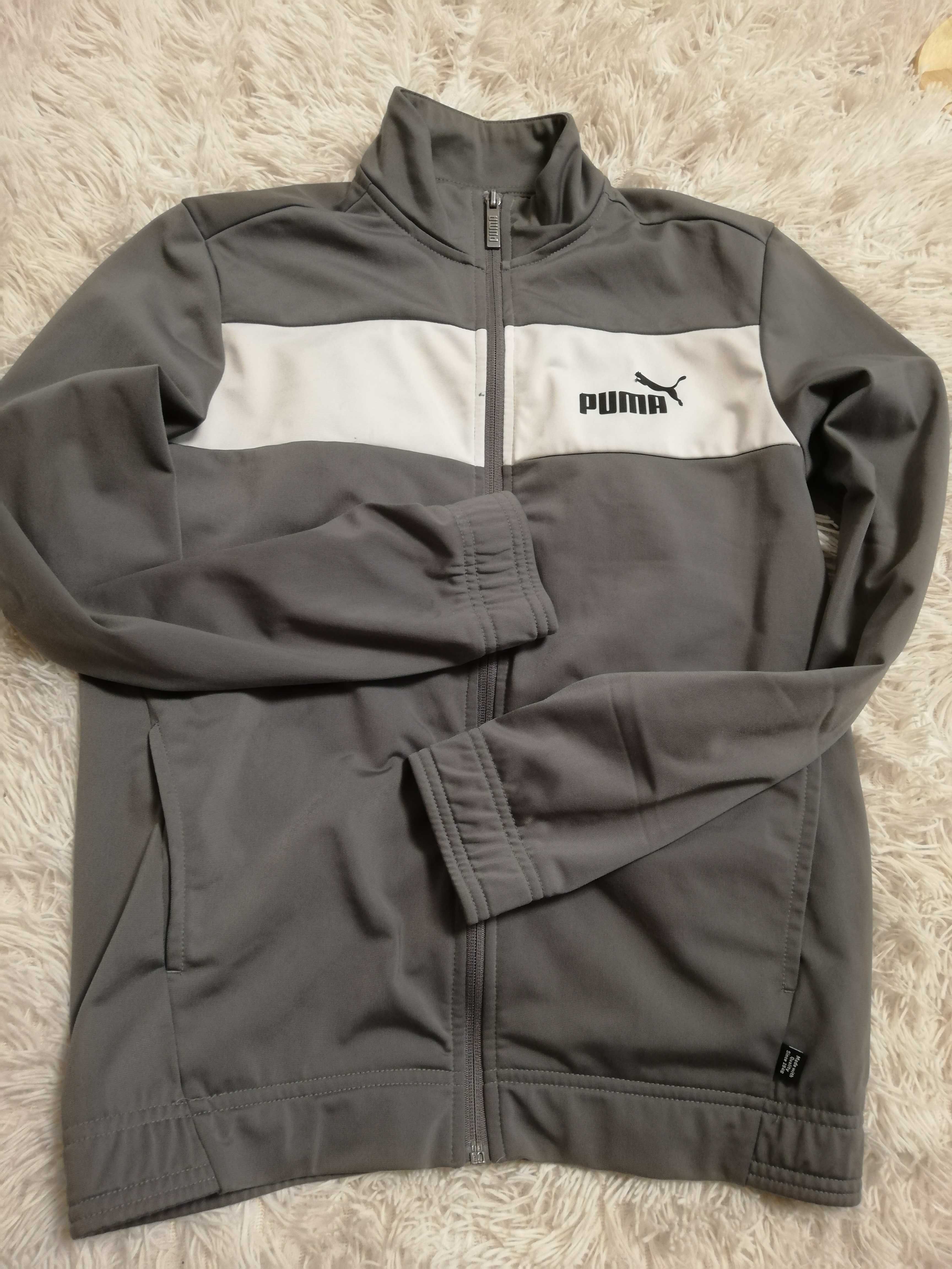 bluza Puma 158 164 na 13 14 lat szara bluza Puma rozpinana 158 164