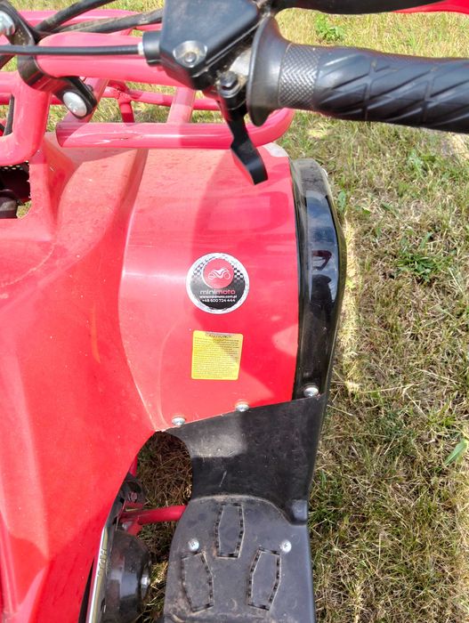 Quad  125 T-rex huumer