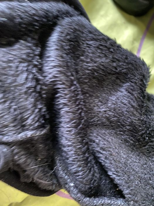 Ботфорти жіночі утеплені. 39 розмір