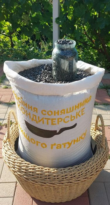 Насіння "Лакомка" кондитерське.