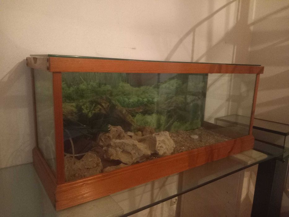 Aquário Grande com Mesa
