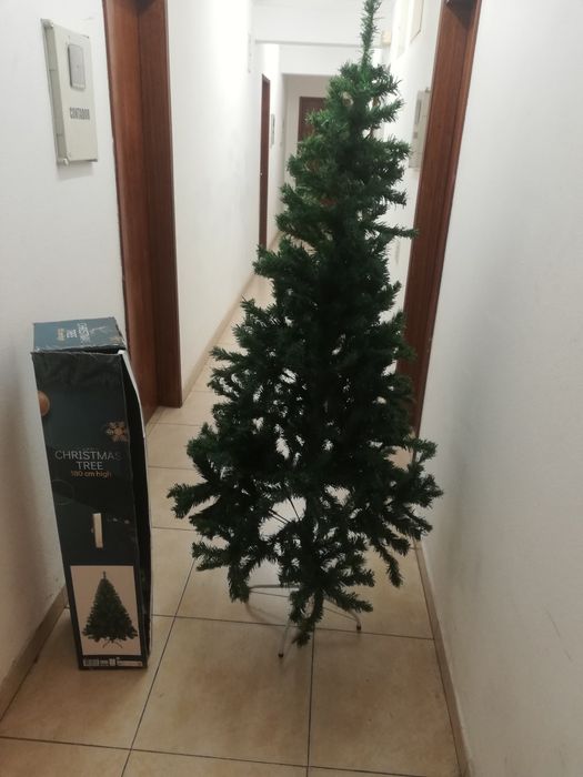 Árvore de natal com caixa