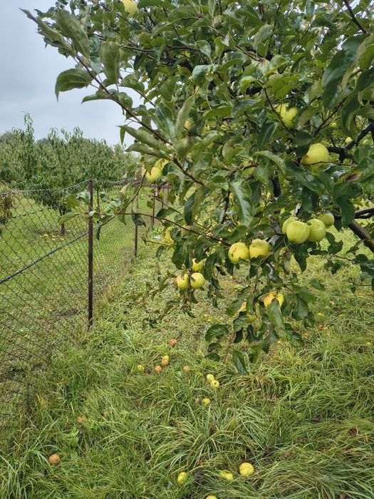 Продається земельна ділянка