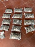 Moedas 2$50 antigas