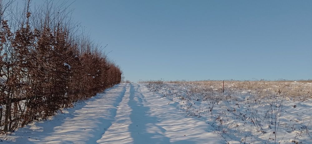 Ділянка 10сот.с.Селисько 14км.до м.Львів Солонківське ОТГ