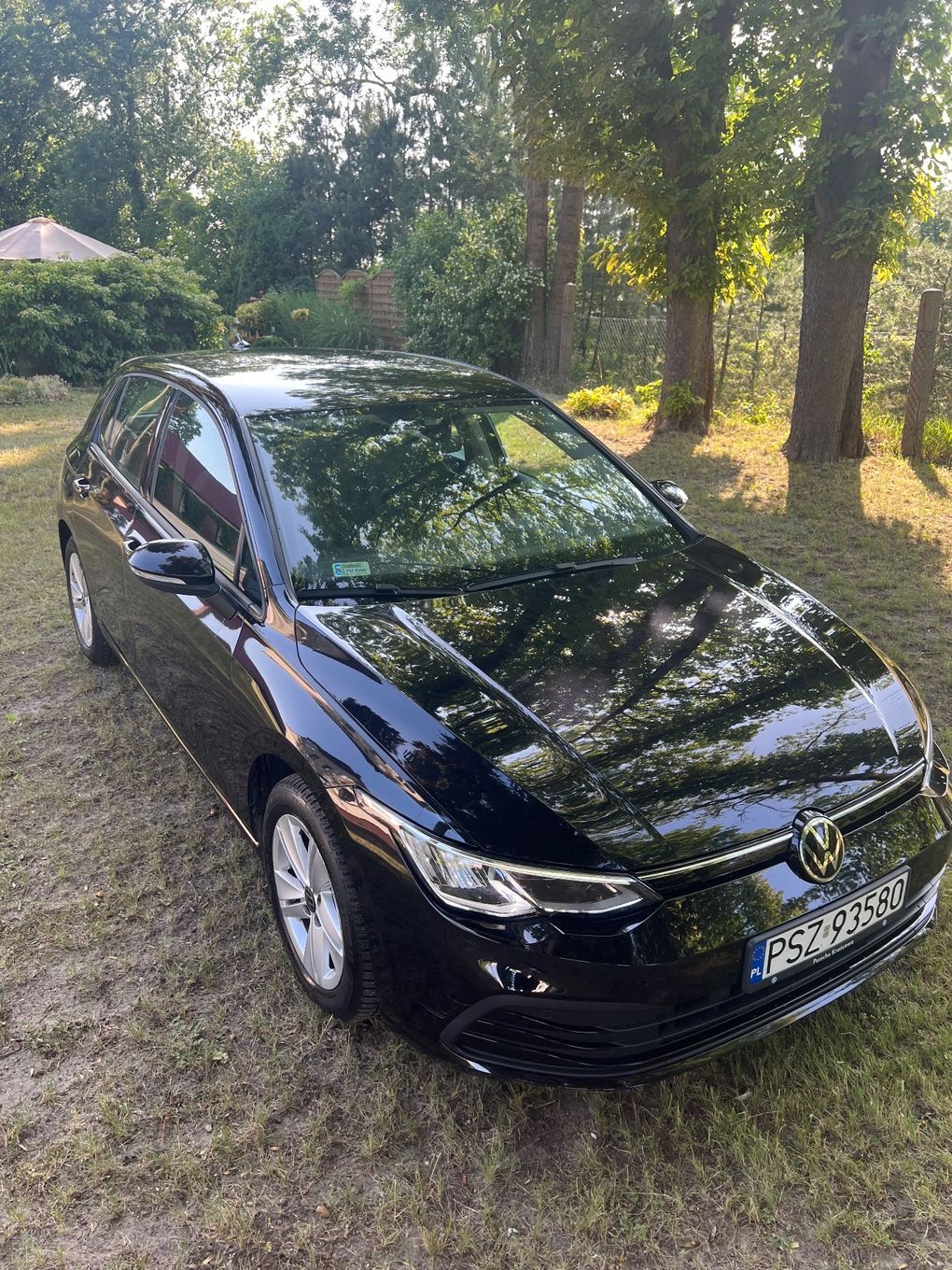 Volkswagen Golf 1,5 etsi mild hybrid automat