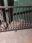 Balustrady stalowe kute balkonowe