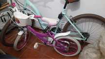 Bicicleta Patrulha Pata
