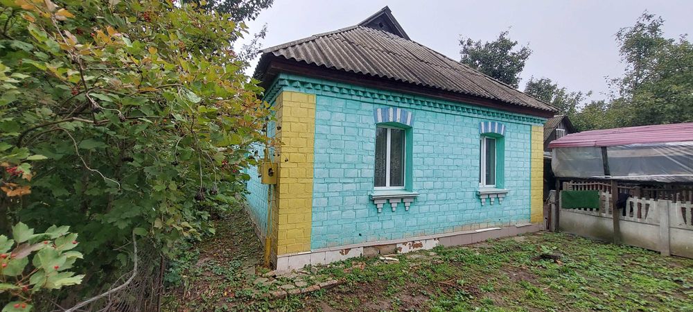 Продаж будинку з ділянкою 22 сотки Козаровичі