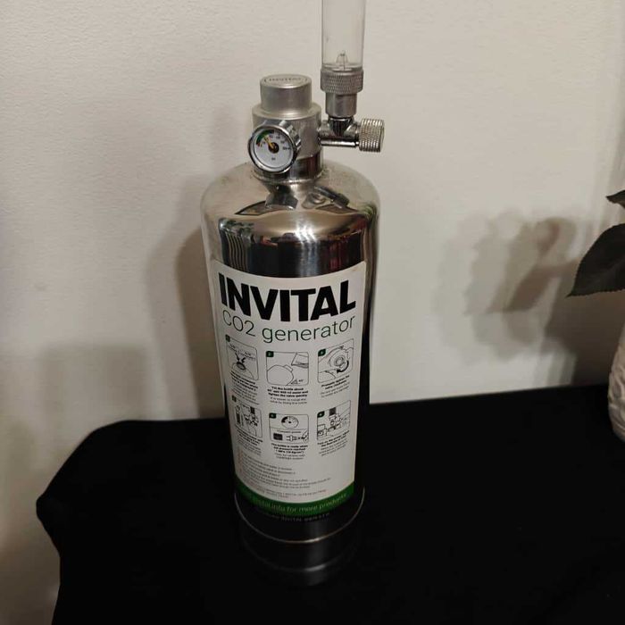 generator co2 do akwarium