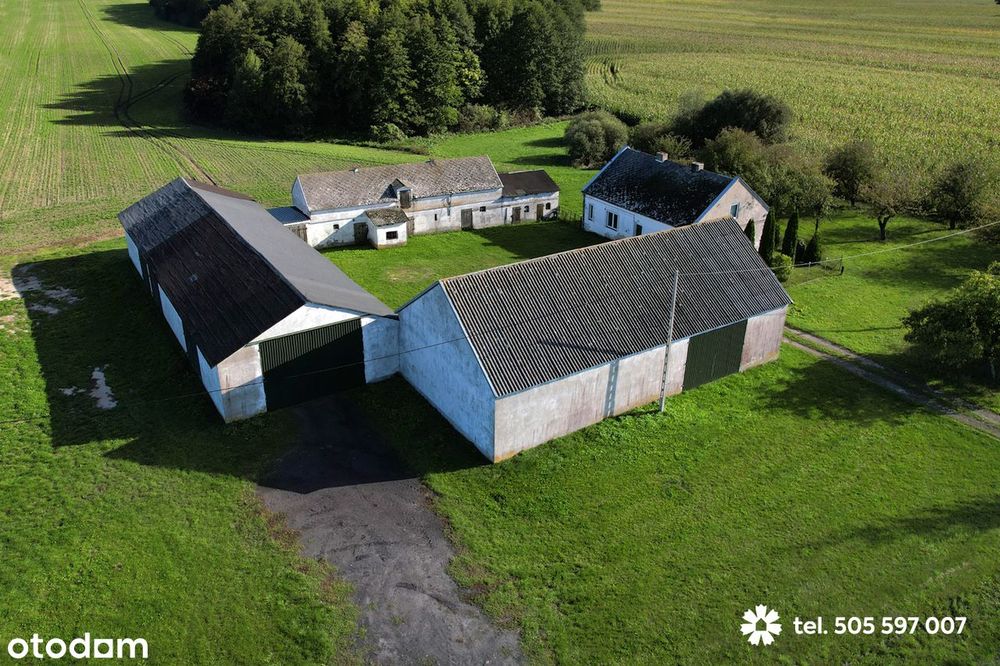 Na sprzedaż dom na wsi z działką  3854 m2 - 5 km do Lipna.