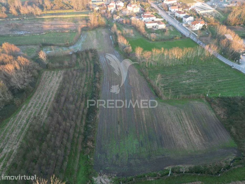 Terreno em Briteiros Santo Estêvão - Guimarães