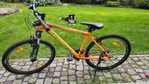 Sprzedam używany rower KELLYS MADMAN 10