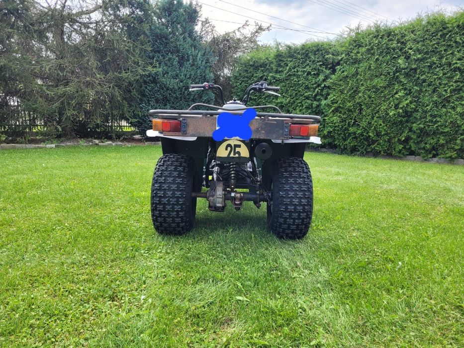 Yamaha Bear Tracker 250