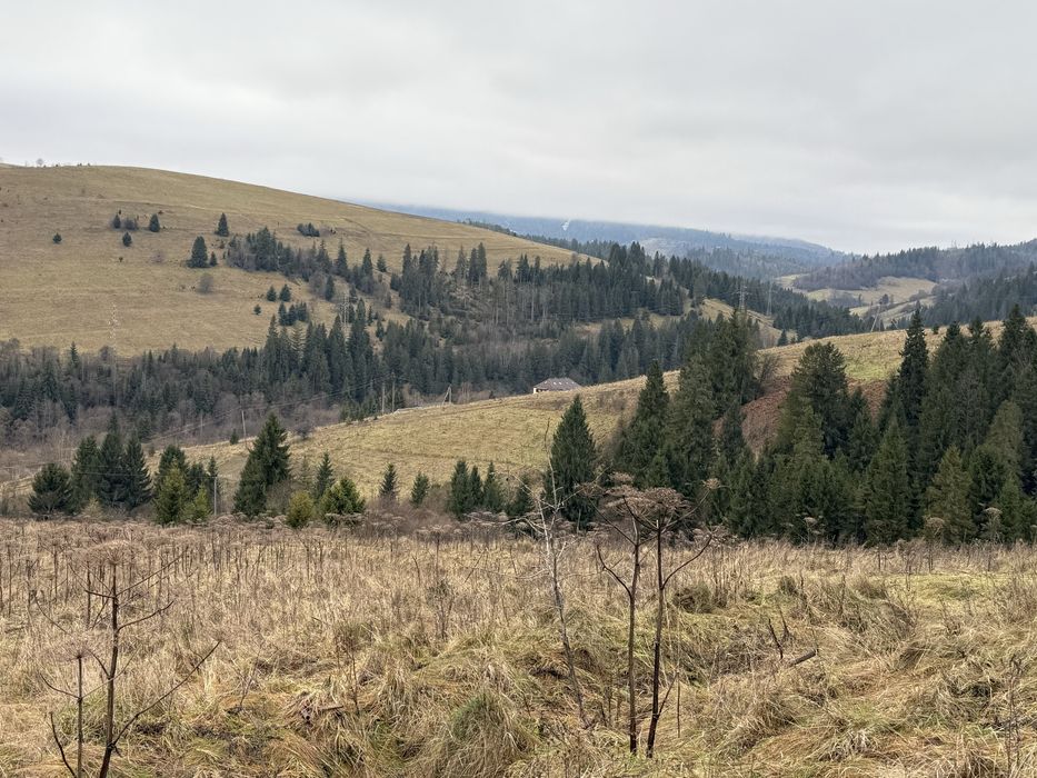 Продається ділянка осг в с. Пилипець