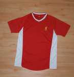 Футбольная футболка FC Liverpool  Jersey / ФК Ливерпуль L-XL Nike Dry