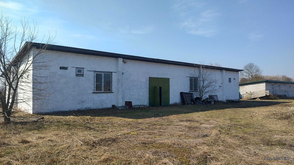 Ферма Свиноферма Скотарство Зерносхови Цех Броварський 600квм 70сот