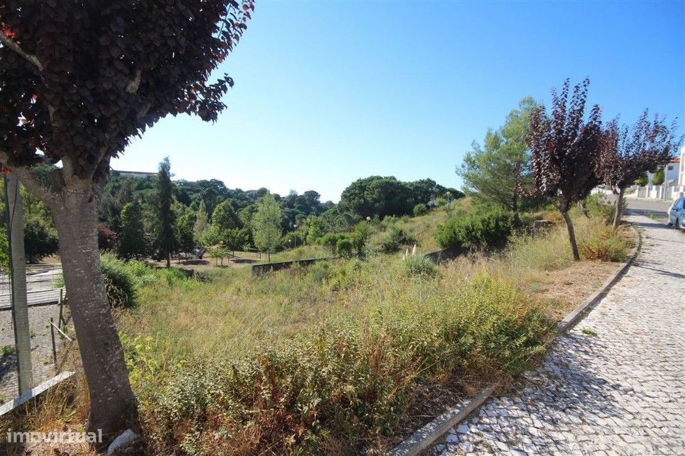 Lote, Coimbra, Santa Clara