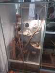Terrarium pionowe