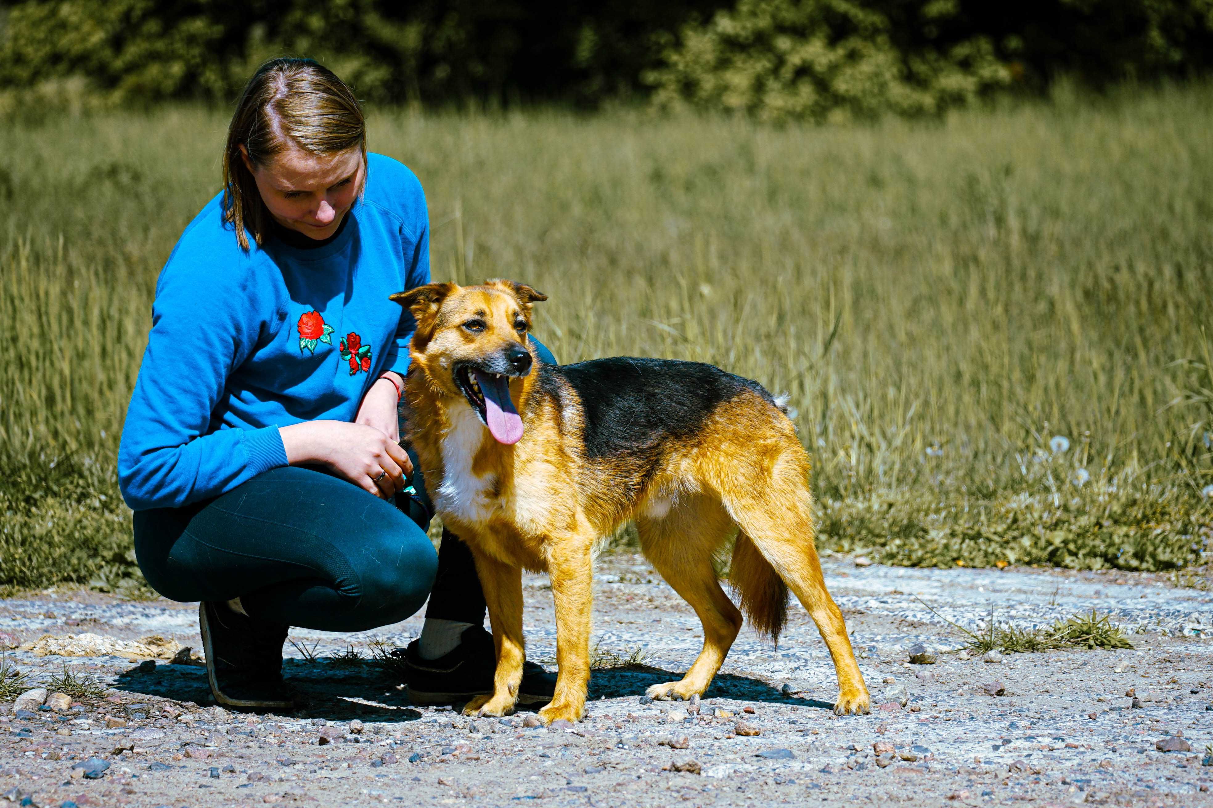 MIŁEK - świetny pies do adopcji