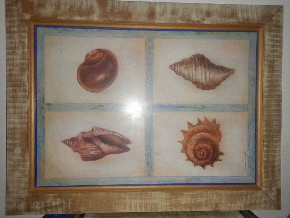 Quadro com moldura e vidro frutos mar