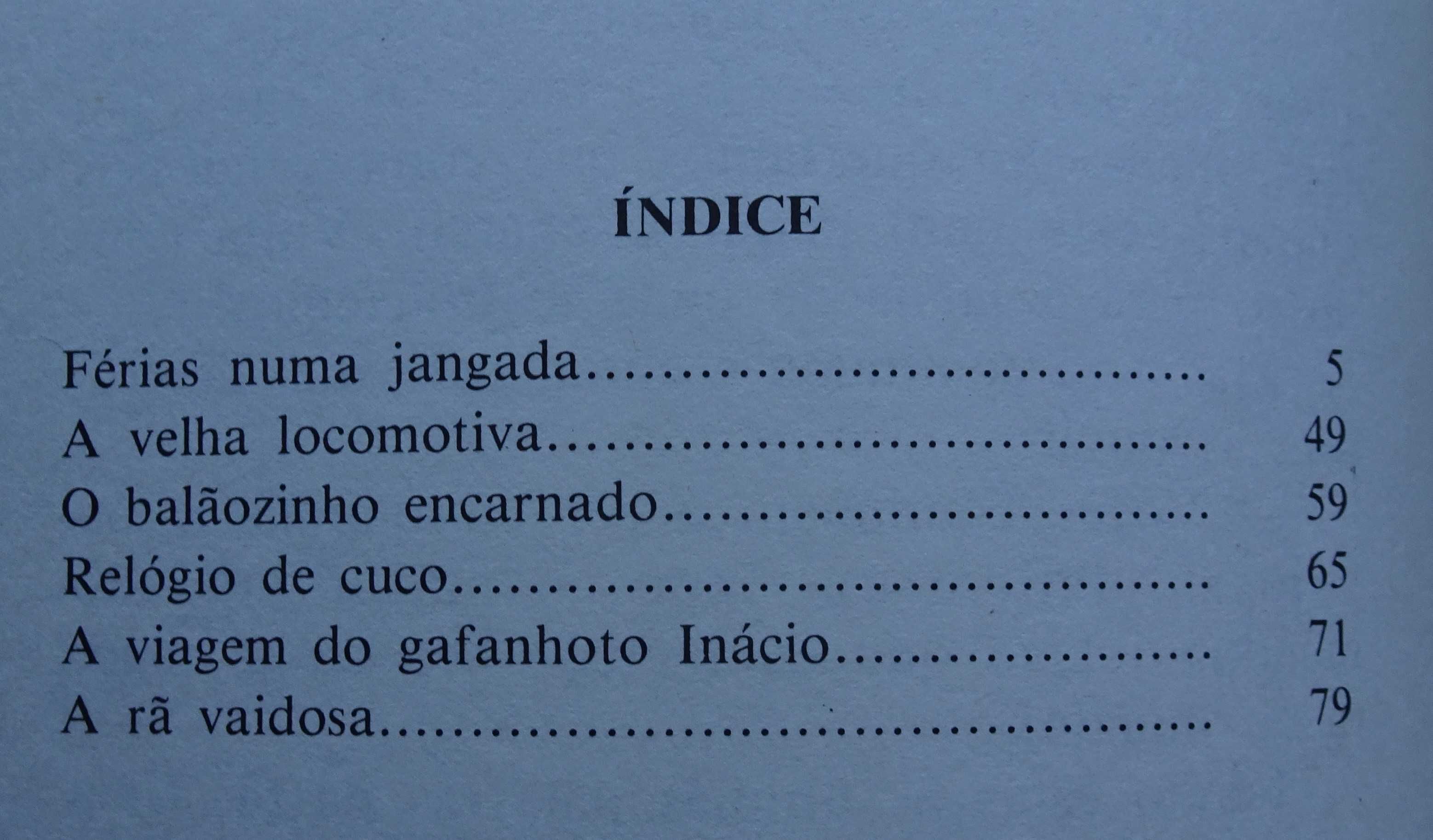 Férias Numa Jangada e Outras Histórias