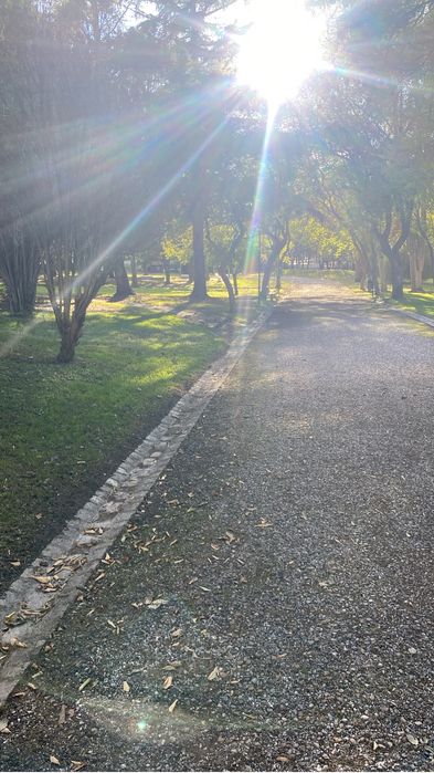 T2 em Vendas Novas junto ao parque com sotão