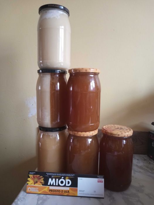 Miód pszczeli z własnej pasieki
