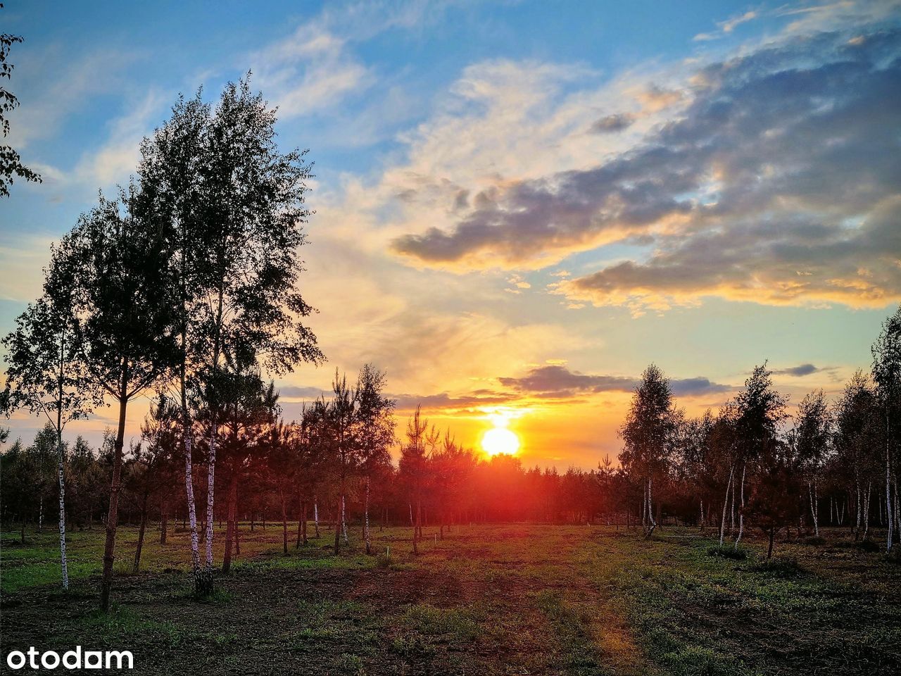 MAZURY Malownicze Działki bud z MPZP przy LESIE nad JEZIOREM_2h z W-wy