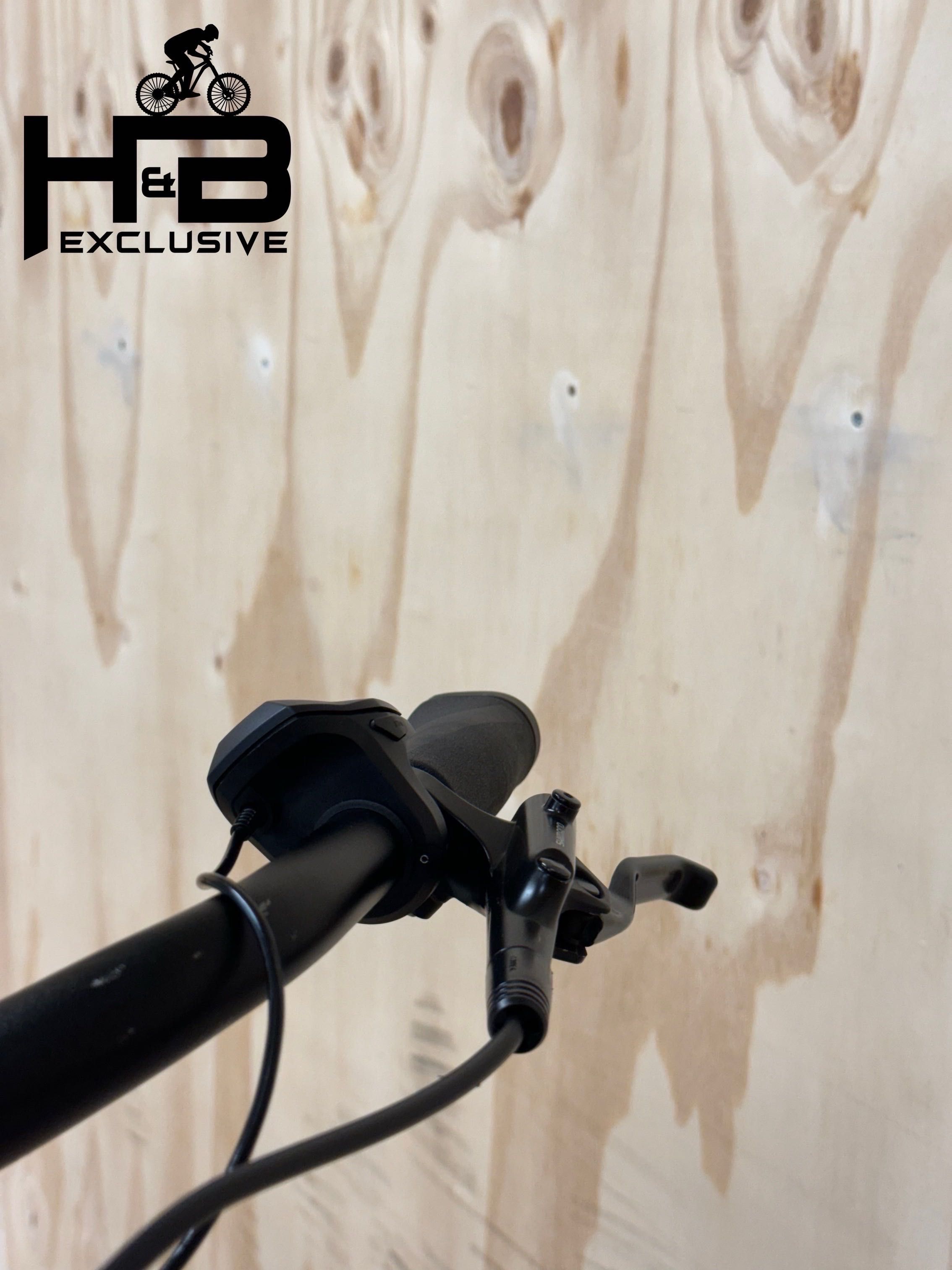 Diamant Beryll Deluxe+ Shimano Nexus 2023