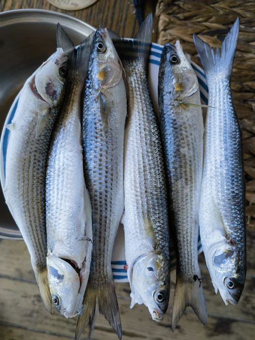 Сдам домик у моря, рибалка, перша лінія у місті, курень