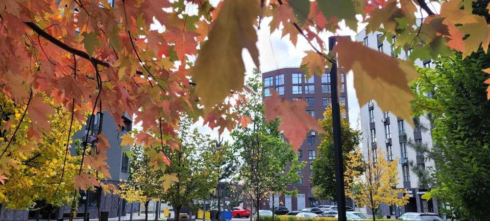 2-кім. квартири в сучасному ЖК Paradise Avenue — комфорт+ у деталях