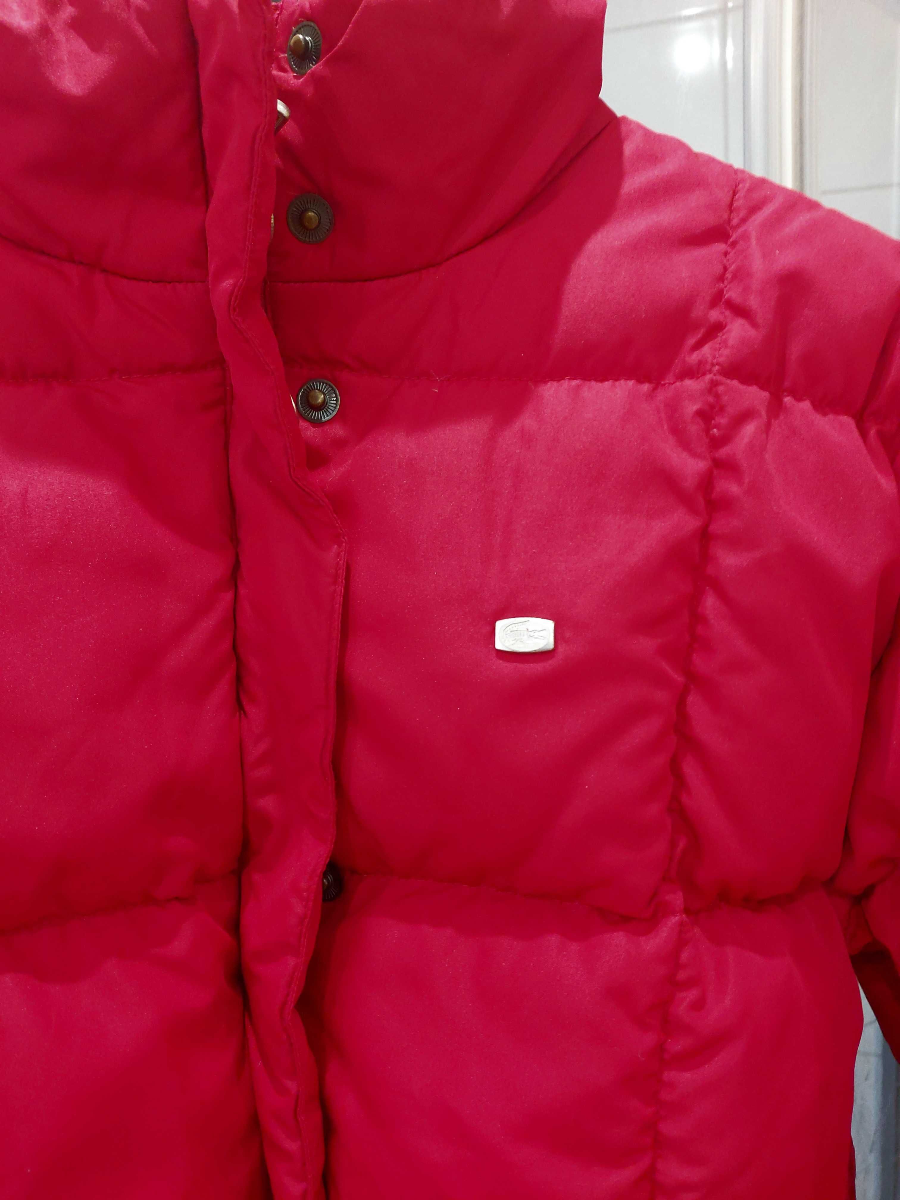Lacoste puchowa ciepla kurtka roz m