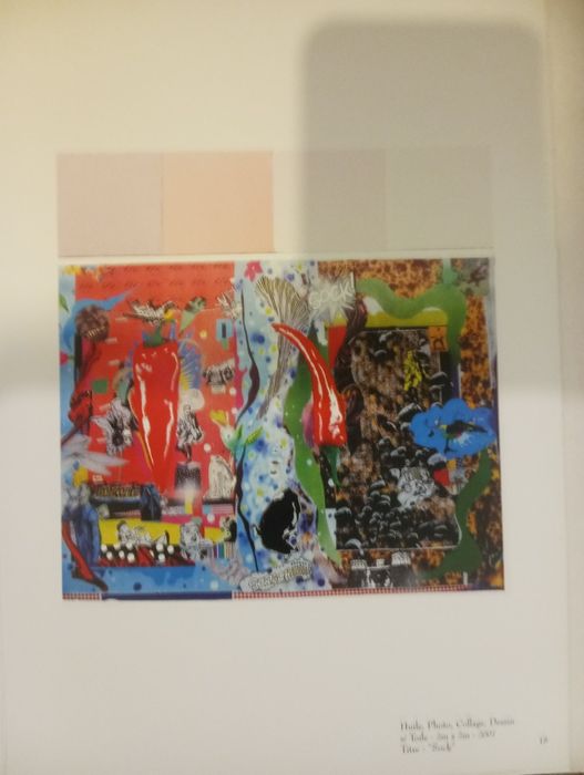 Livro de gravuras do pintor rico Sequeira PA numerada de 25 exemplares