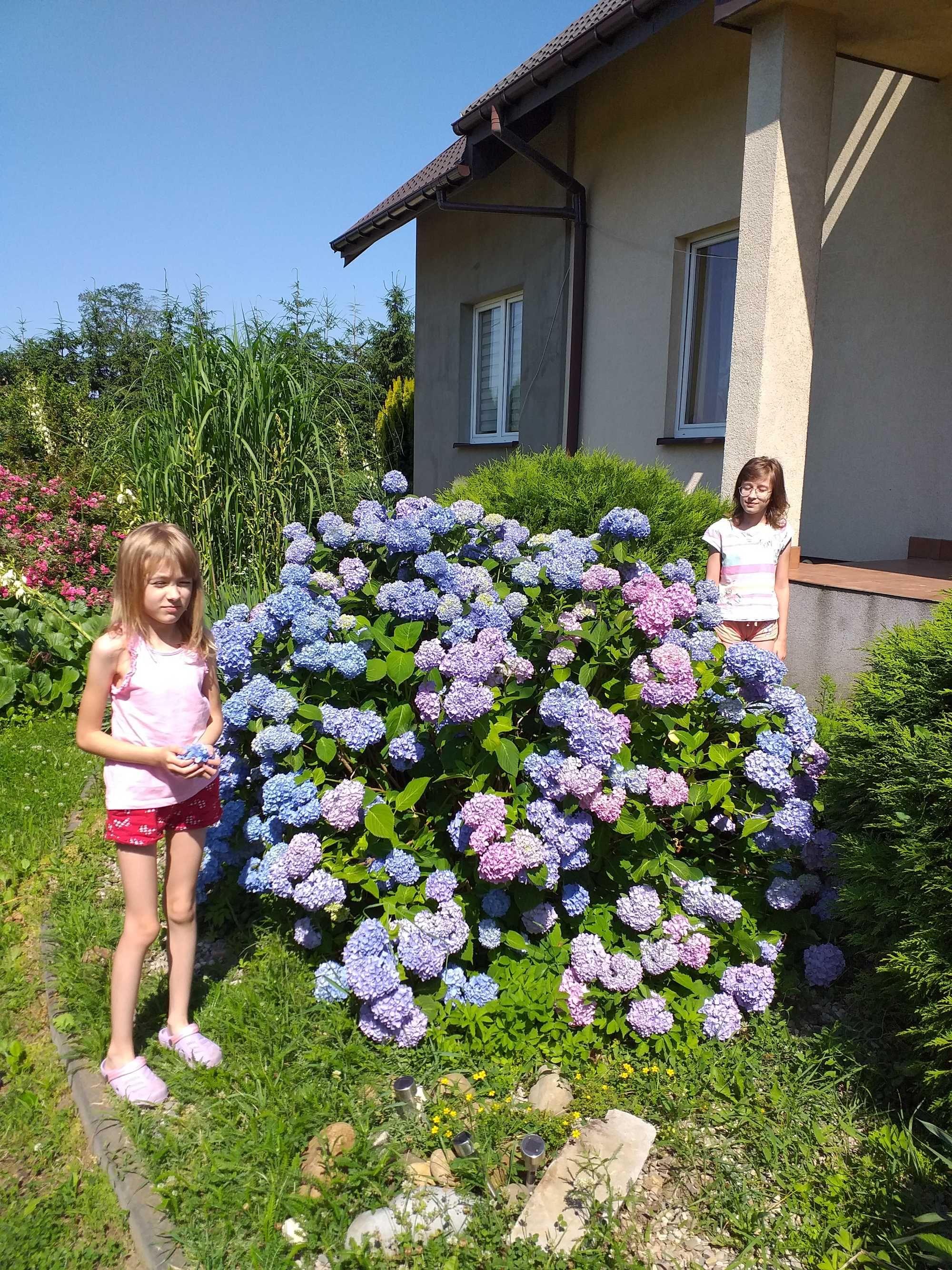 Agroturystyka Pokoje Gościnne