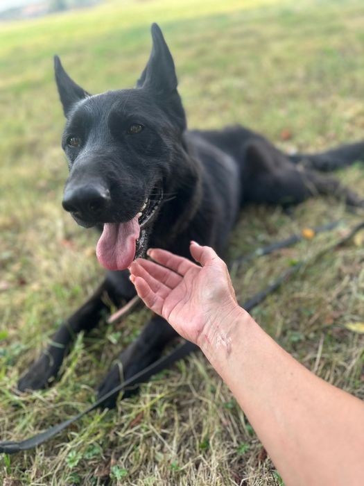 Szachar szuka swojego miejsca na ziemi