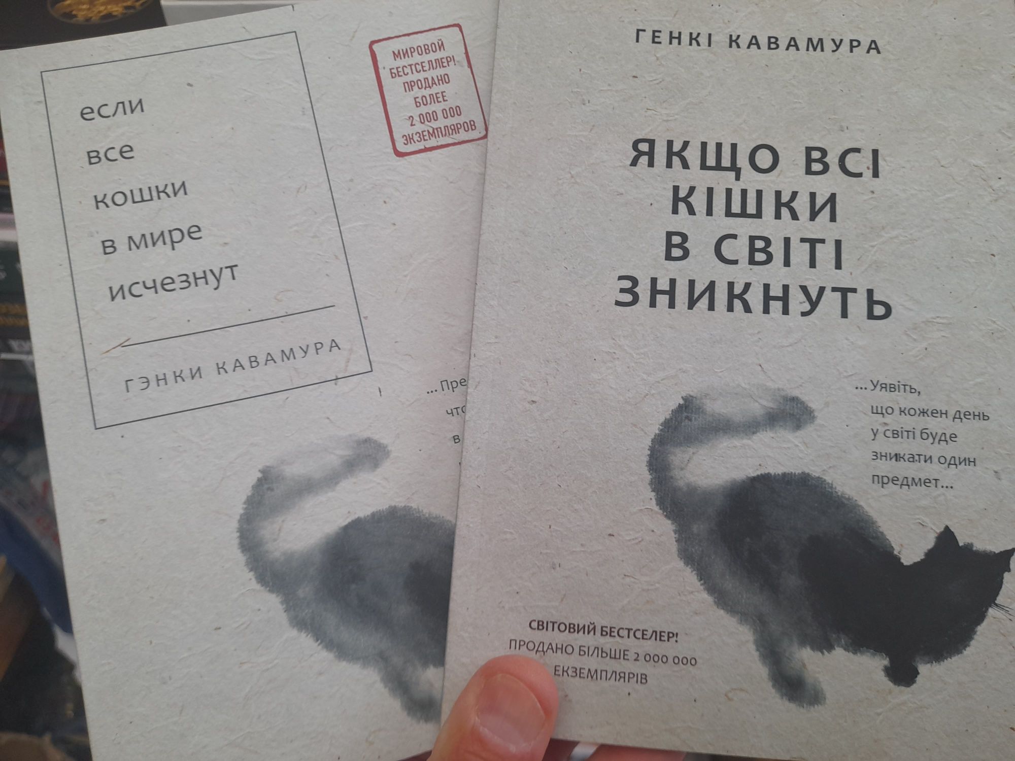 Генки Кавамуре, Если все кошки в мире исчезнут