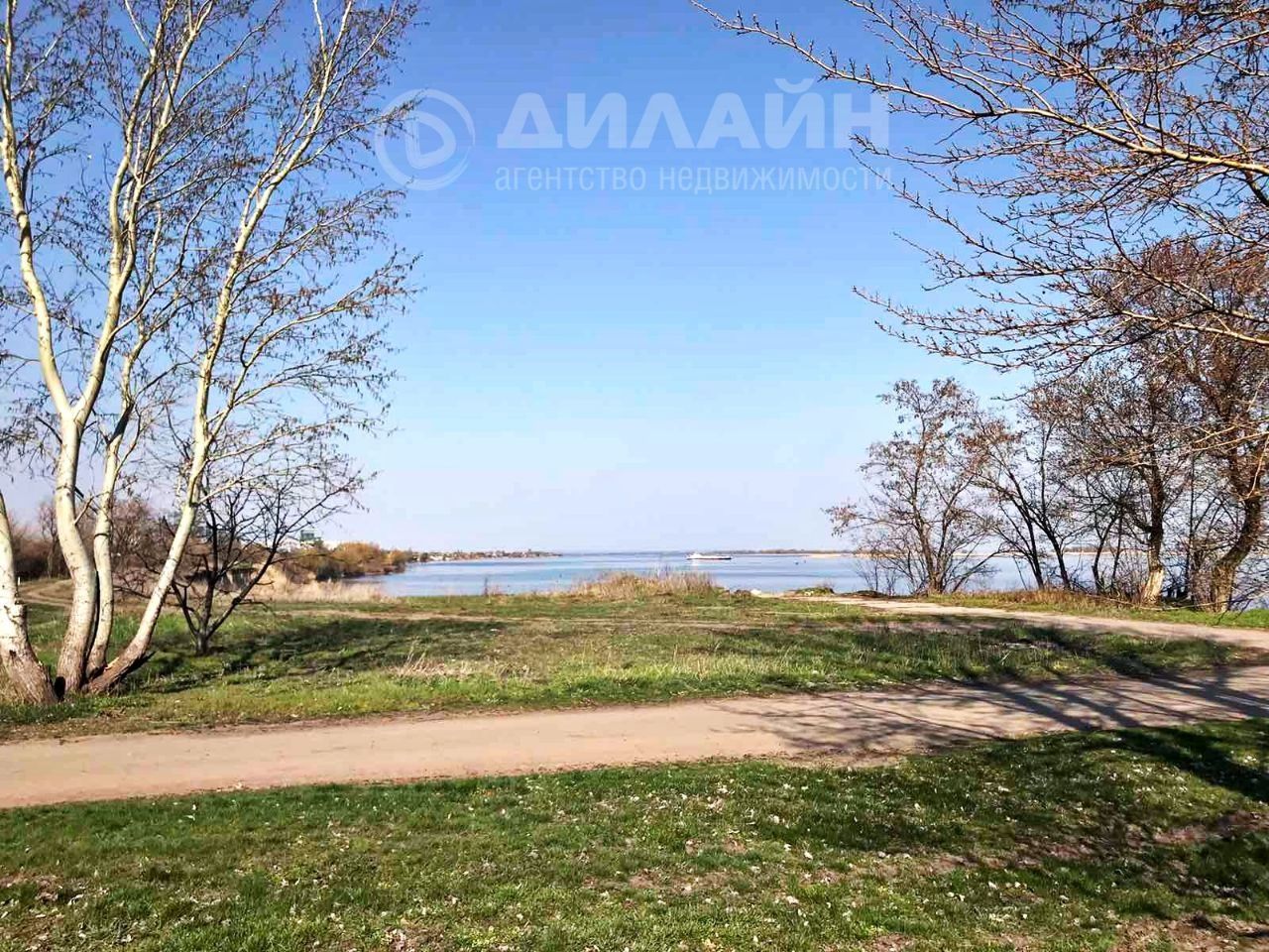 База відпочинку у с. Біленьке. Ліс.