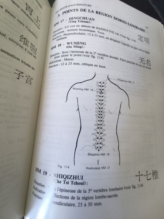 Livro Précis d'acuponcture chinoise