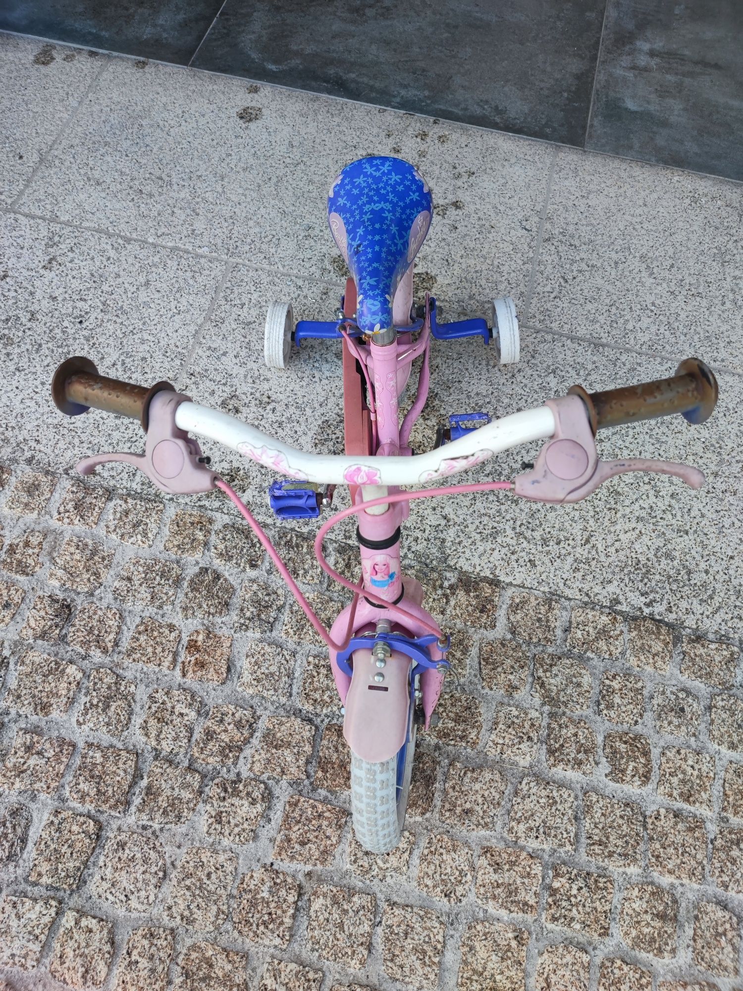 Bicicleta criança menina