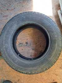 Opona Platin 205/65R15C 102/100T letnia