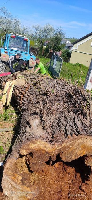 "ОБРІЗКА ДЕРЕВ"
*Зрізання аварійних дерев
*Обрізка сухих та гнилих гіл