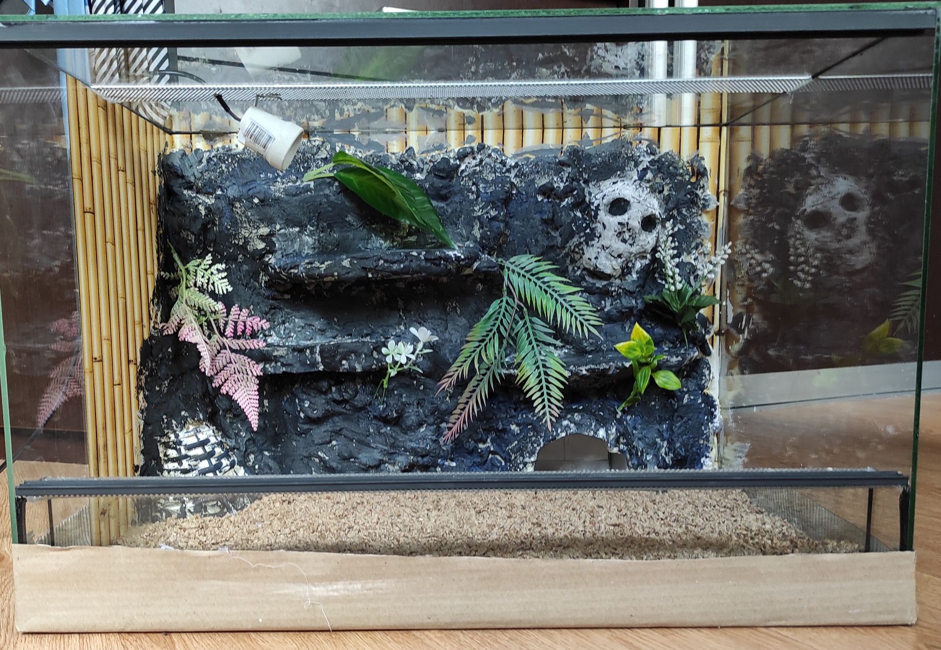 Terrarium dla gekona, jaszczurki