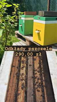 Odkłady pszczele