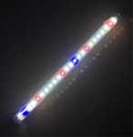 Tuba belka LED Plant (32cm) idealna do akwarium 40 cm.