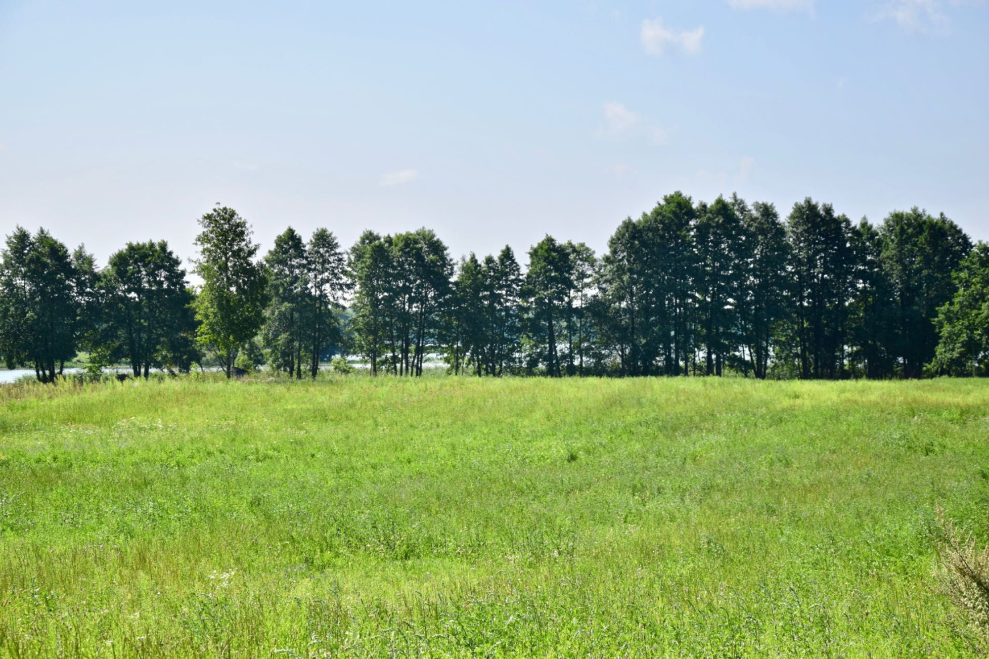 Działka nad jeziorem Gremzdy