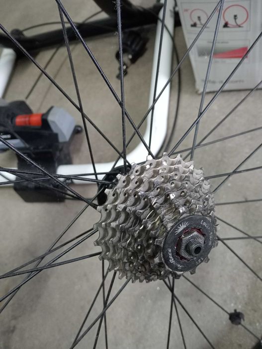 Rolo de treino Elite Force